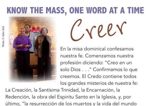 Anuncios Parroquiales 30 de Diciembre de 2012 LA SAGRADA FAMILIA: JESUS, MARIA Y JOSE Los padres de Jesús iban todos los años a Jerusalén para la fiesta de la Pascua.