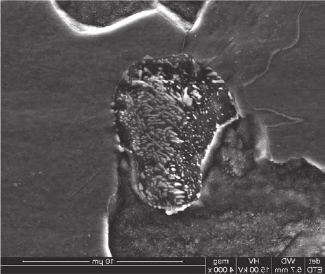 The results obtained on the basis of observations with a scanning electron microscope and the identification of precipitates based on X-ray phase composition analysis of electrolytically isolated