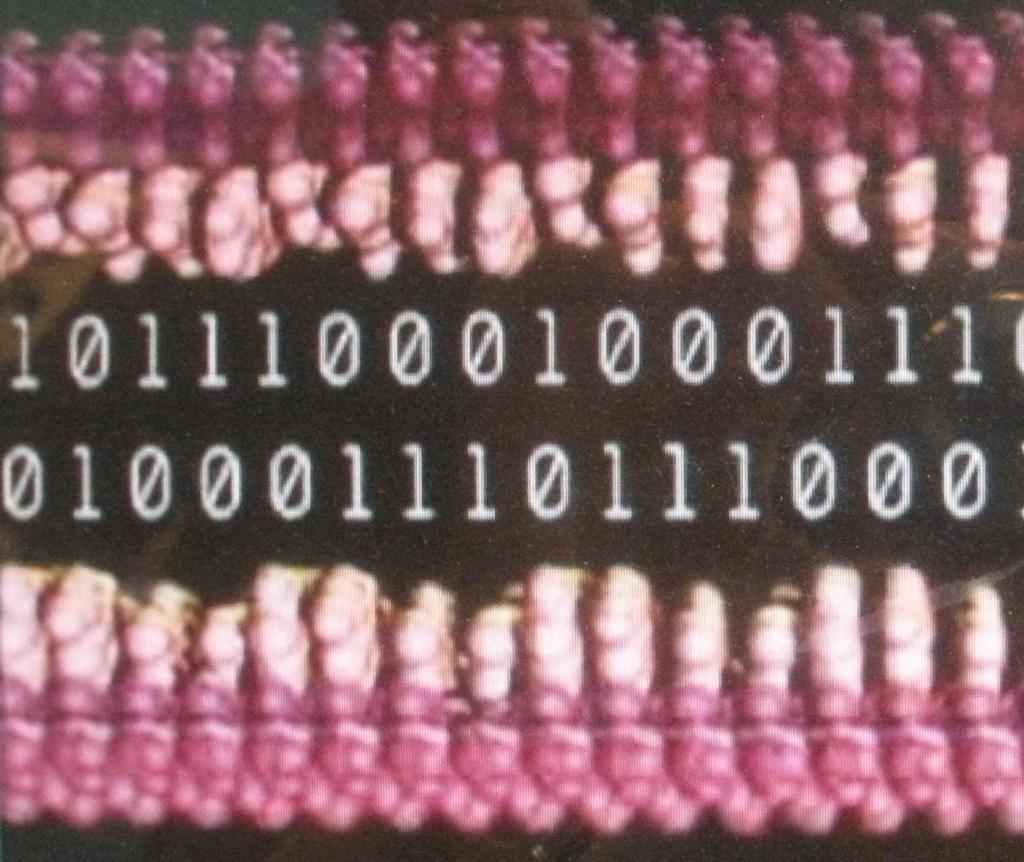 DNA