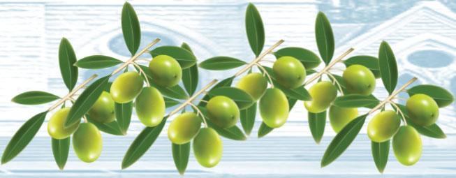 These include the oil for the sick, the oil for catechumens; and the oil for the sacred chrism.