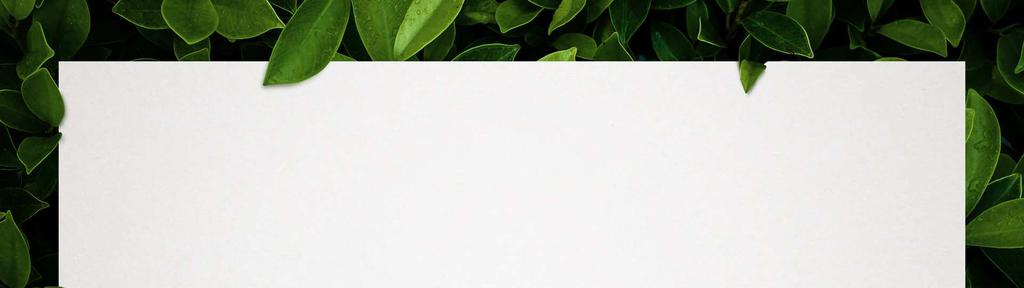 Nowy koncept F&B Natura