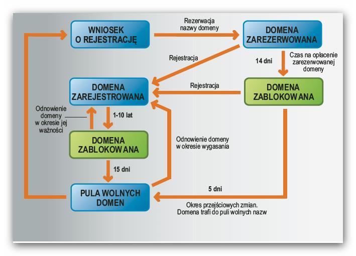 Procedura rejestracji domeny