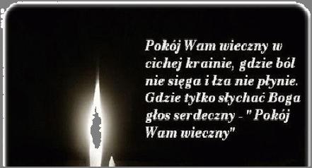 zaangażowanie w przygotowaniu pożegnania Ks. Rafała.