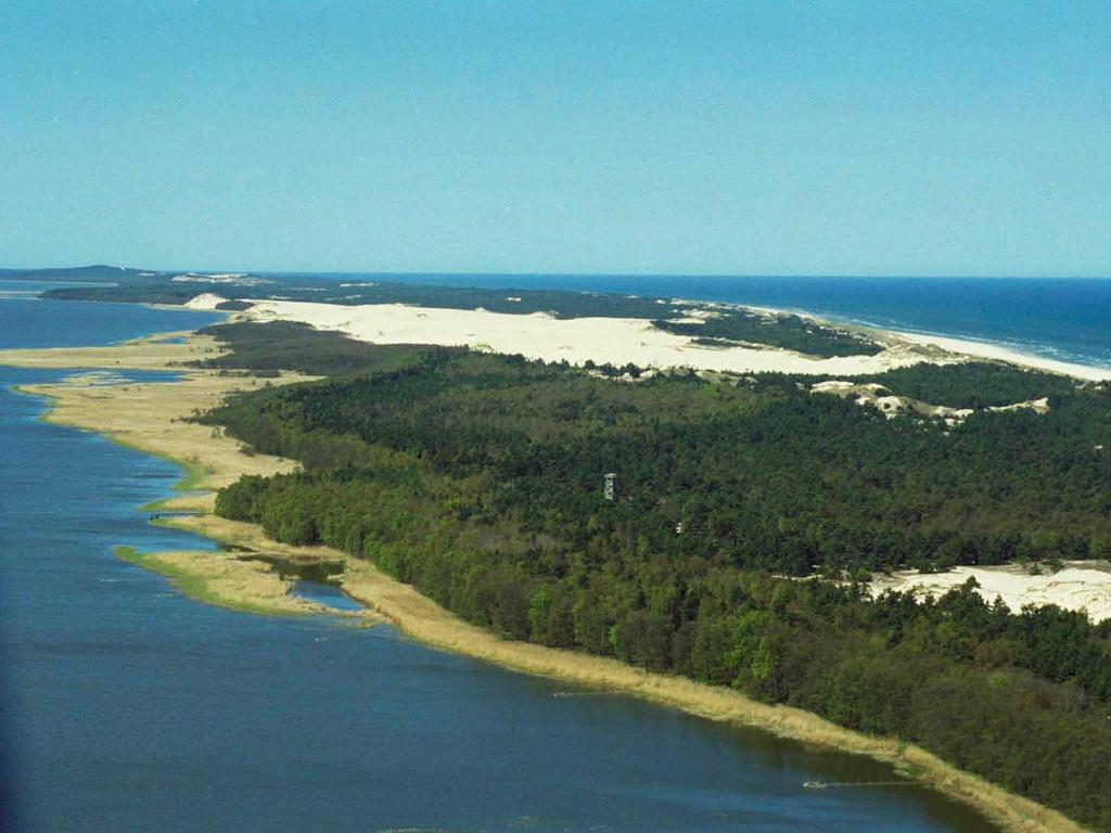 The natural coasts