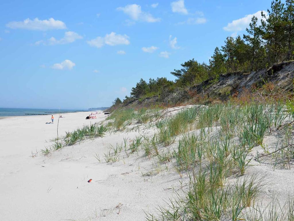 Old dunes system with new natural