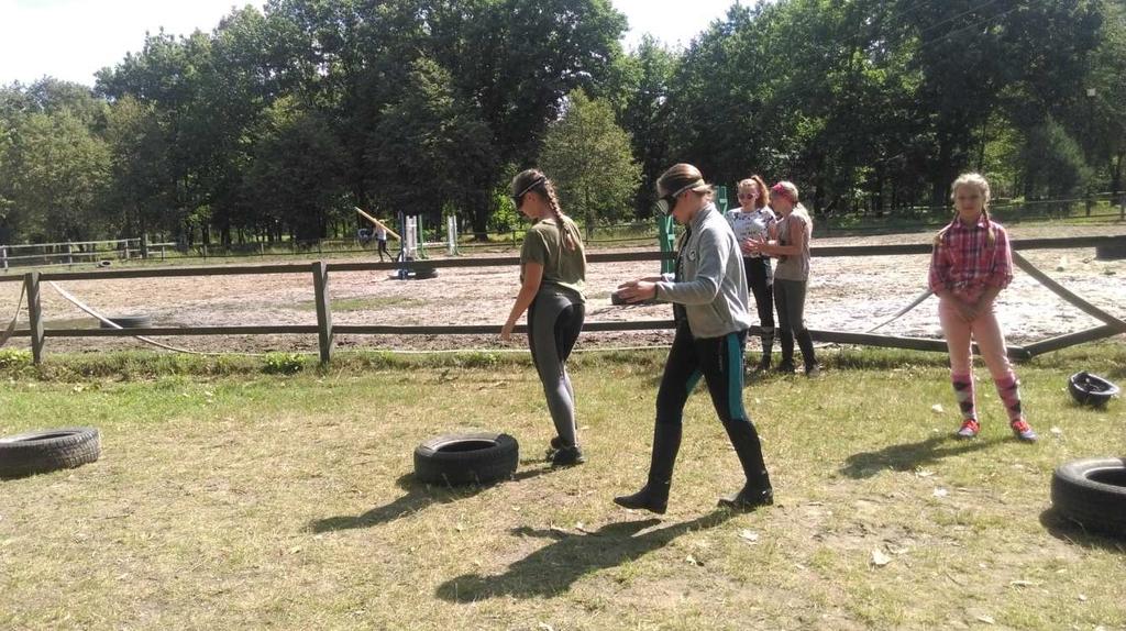 Dodatkowo przy współpracy z pionem Higieny Dzieci i Młodzieży w trakcie trwania akcji letniej Bezpieczne wakacje i akcji zimowej Bezpieczne ferie organizowane były spotkania z uczestnikami form
