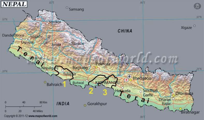 72 In the Terai region of Nepal the climate is warm throughout the year. The warm climate enables what the Nepalese consider to be the exotic bee A.