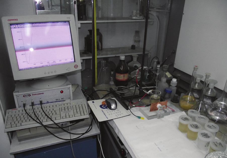 bez zewnętrznej polaryzacji w czasie 60 minut, a następnie rejestracji krzywych potencjodynamicznych.