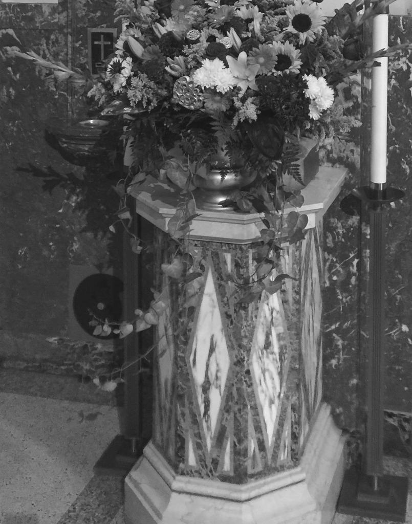 717 Polonia Avenue, Elizabeth, NJ 07202 (908) 352-1448 Fax: (908) 352-8389 Office Hours: Clergy / Duszpasterz Parafialny Rev. Andrew Zmarlicki, Pastor Rev.