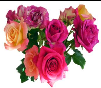 John the Baptist 6:30 +Stanley Pietras from Joanne, Roger & Families 12:00 - Blessings for Alexandra, Anthony and Maximillian from Parents 7:00 p.m. (Polish) - Blessings for Michayla, Anthony, Nathan & Jacob from Grandmother ST.