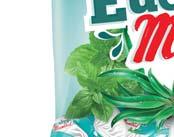 EUCALYPTUS MENTHOL