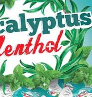 of eucalyptus and