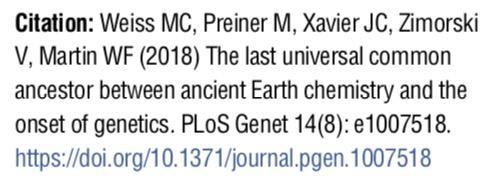 Rekonstrukcja genomu LUCA Geny obecne we wszystkich liniach Bacteria i Archaea - ok.
