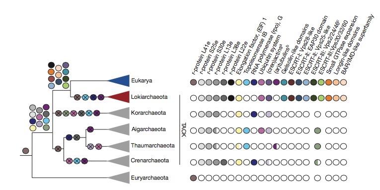 metagenomicznych (2015 r.