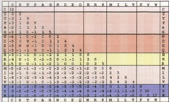 Porównywanie białek - macierze Macierze