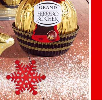 49 81373102 5 4 ROCHER COMETA 45 G 1