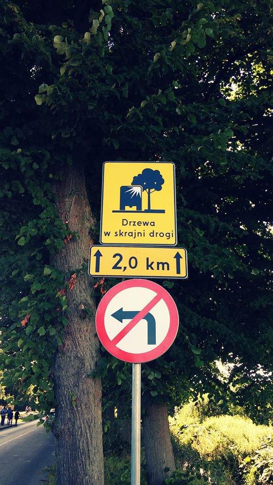 Fot. po lewej: aleja między