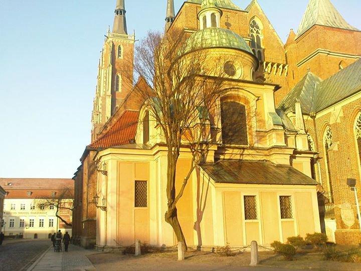 Graby przy Katedrze (na zdjęciach