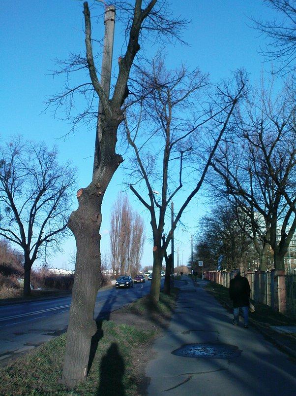 Wrocławiu Lipy, ul.