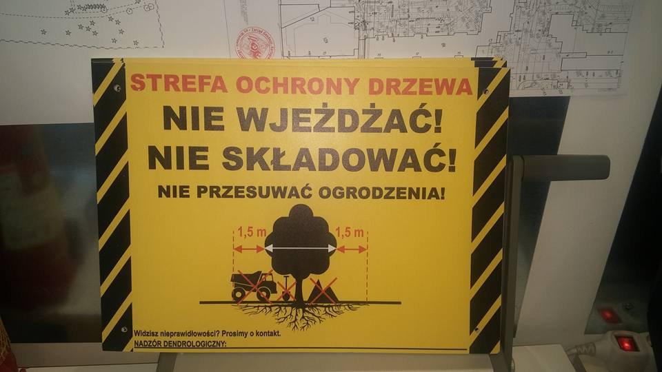 Dobry przykład ochrony drzewa na placu budowy