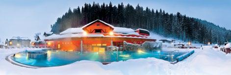 Pre tých, ktorí obľubujú čaro saunovania je určený vitálny (saunový) svet, kde sa nachádzajú: fínska sauna, mentolová sauna, rímsky kúpeľ s prírodnými inhalačnými esenciami, Kneippov kúpeľ,