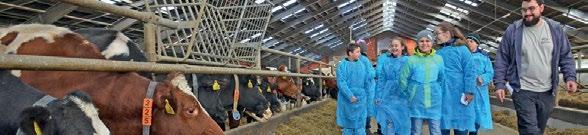 Dzieci do 3 roku życia za darmo. Zažite ten pravý farmársky zážitok!