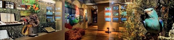 19 SLOVENSKÉ MÚZEUM OCHRANY PRÍRODY A JASKYNIARSTVA LIPTOVSKÝ MIKULÁŠ PARK MINI SLOVENSKO 20 Słowackie Muzeum Ochrony Przyrody i Jaskiniarstwa, Liptovský Mikuláš Školská 4, 031 01 Liptovský Mikuláš