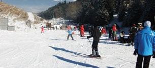 W Liptowie podczas sezonu zimowego działa regularny bezpłatny transport busami SKI & AQUA BUS. Narciarze i wczasowicze zostaną wygodnie przewiezieni na stoki, jak również do parków wodnych.