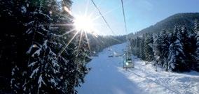 Ski Busy jeżdżą przez cały główny sezon, a następnie rzadziej podczas wiosennego sezonu narciarskiego oraz Wielkanocy.