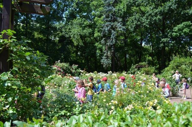 28 czerwca zajęcia płatne SKANSEN W PSZCZYNIE - WARSZTATY PSZCZELARSTWA Czeladnicy uczą się od starych bartników.