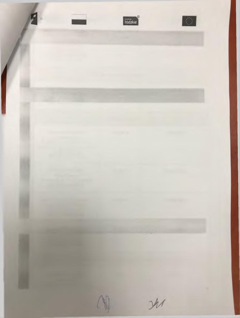 E u ro pe jski Fundusz Społeczny Kurs chemizacyjny (2 edycje) Przedsiębiorstwo