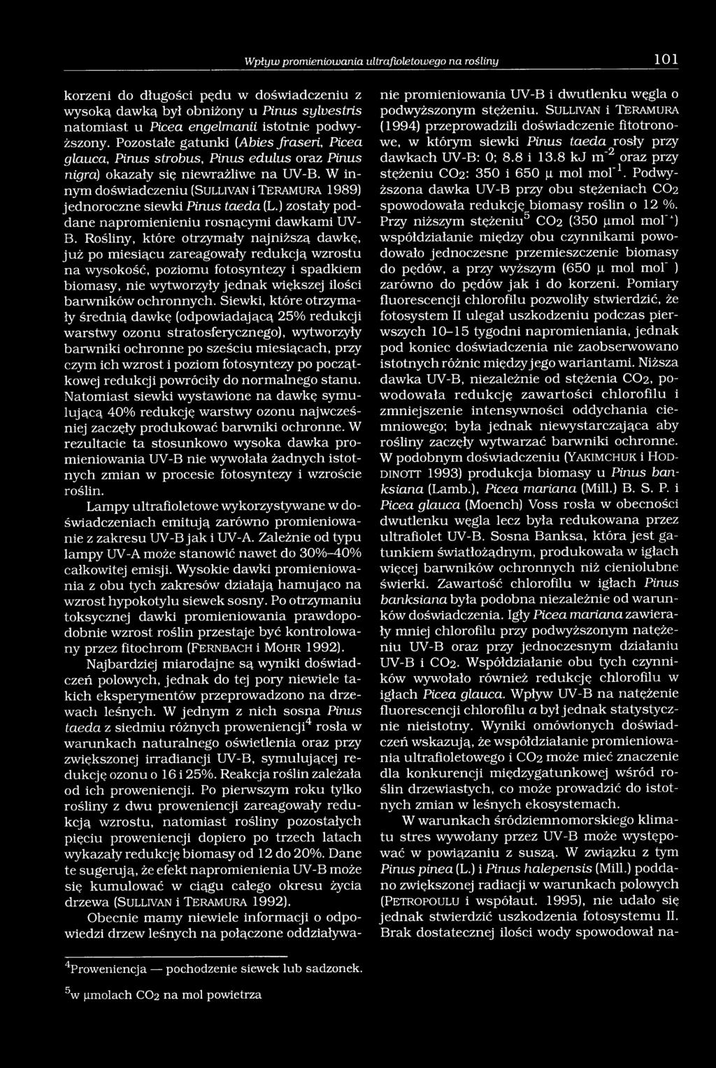 W innym doświadczeniu (S u l liv a n i T e r a m u r a 1989) jednoroczne siewki Pinus taeda (L.) zostały poddane napromienieniu rosnącymi dawkami UV- B.