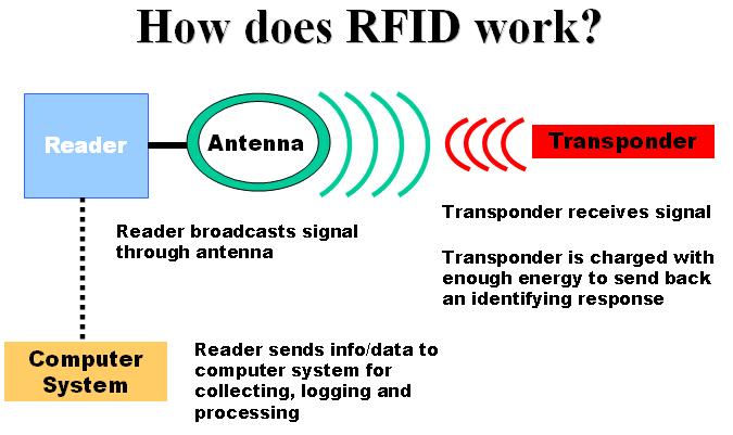 Dodatkowymi składnikami systemu RFID mogą być: drukarki etykiet potrafiące kodować znaczniki RFID podczas druku (często zaliczane są do czytników) oraz czujniki, elementy wykonawcze i powiadamiające,
