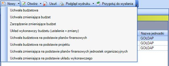 Rysunek 54. Menu kontekstowe po przyciskiem Nowy Wybór którejkolwiek pozycji z menu skutkuje wyświetleniem okna do wprowadzenia szczegółowych danych.