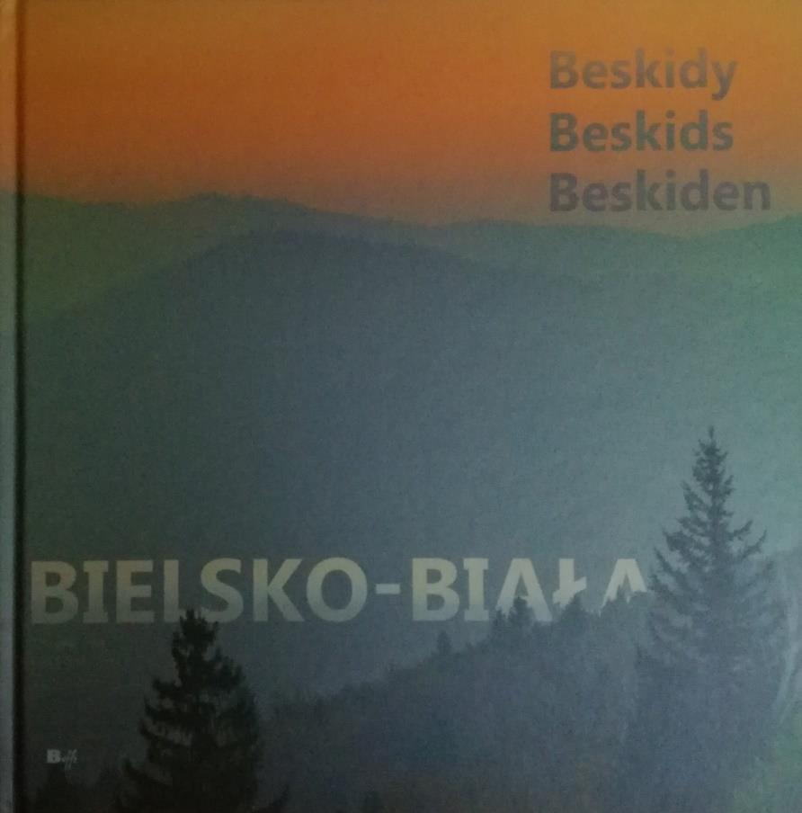 Miasto z górami.