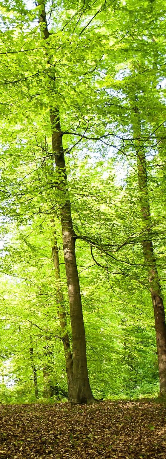 Dlaczego SUSTAINABILITY? Nowa misja - Multidyscyplinarne kolekcje tematyczne. Bibliotekarze oraz naukowcy oczekują od JSTOR szerszego zakresu badań w rozwijających się dziedzinach.