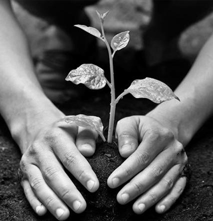 SUSTAINABILITY ZAWARTOŚĆ KOLEKCJI» Minimum 105 nowych czasopism odnoszących się do ponad 30
