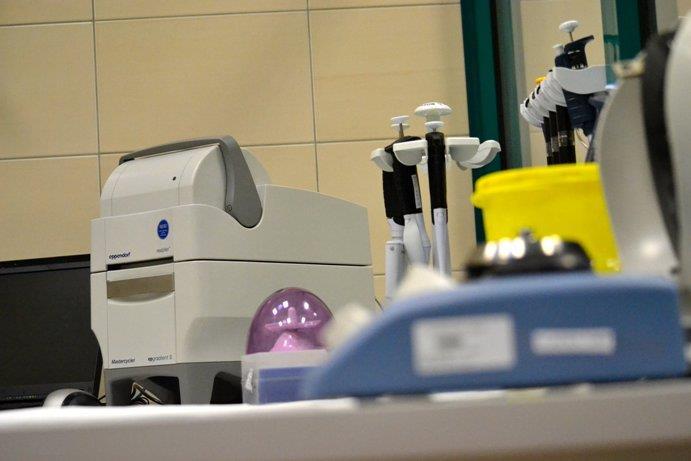Absolwenci specjalności Biochemia i biologia molekularna Dalsze kształcenie studia doktoranckie i praca naukowa Praca zawodowa: - przygotowanie merytoryczne do pracy w laboratoriach diagnostycznych