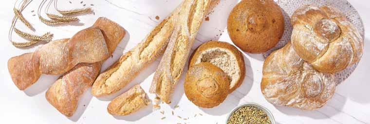 PICCANTE 4 Ser pleśniowy ROKPOL 2 ŚWIĄT PEŁNYCH pieczywa i serów Ser francuski FRESHPACK Ser KORYCIŃSKI naturalny, z czarnuszką,