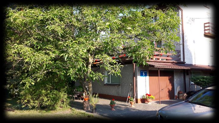 1. Nieruchomość gruntowa, położona w Sulejówku, przy ul.
