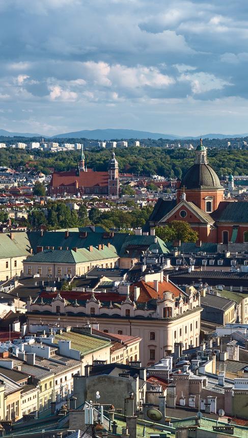KAMIENICE I POWIERZCHNIE ZABYTKOWE Poszczególne obszary rynku kamienic charakteryzują się zróżnicowanymi parametrami STARE MIASTO obręb Plant ŚRÓDMIEŚCIE bez Starego Miasta SPRZEDANYCH KAMIENIC OBRÓT