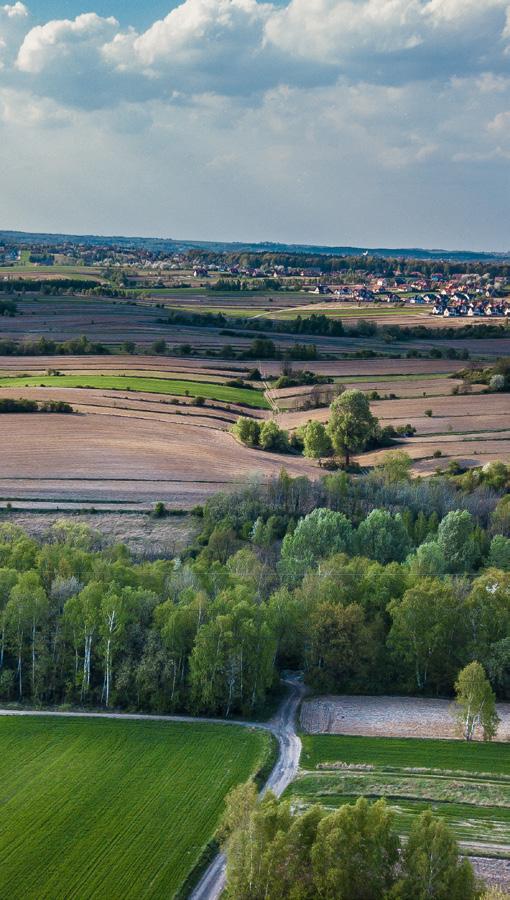 GRUNTY W POWIECIE KRAKOWSKIM SUŁOSZOWA IWANOWICE SKAŁA JERZMANOWICE- PRZEGINIA SŁOMNIKI KRZESZOWICE 2 4 KOCMYRZÓW- LUBORZYCA 1 WIELKA WIEŚ ZABIERZÓW ZIELONKI W powiecie krakowskim wzrasta liczba