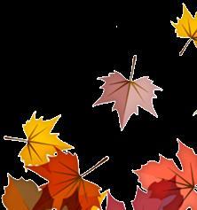 Thanksgiving Day Święto Dziękczynienia 23.11.