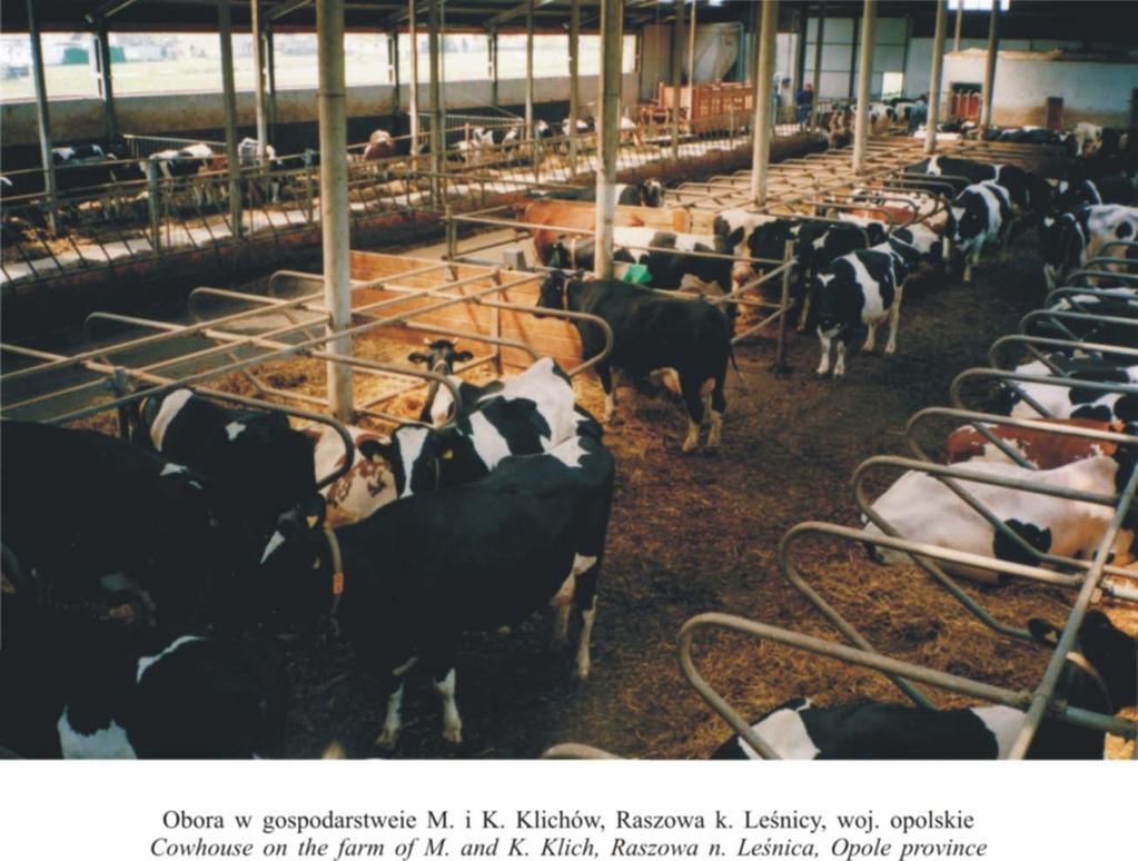 Ocena typu i budowy pierwiastek ras mlecznych Wiadomości Zootechniczne, R.