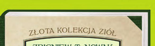 Poradnik podpowie jak prawidłowo zbierać pokrzywę i jak ją przetwarzać na proste
