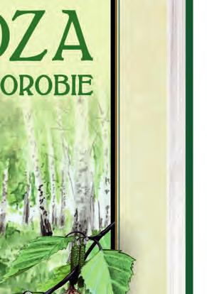 Nowak podaje zbiór cennych receptur na tanie i skuteczne, domowe specyfiki z brzozy, m.in.