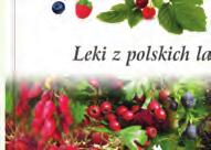 lekarski, pokrzywa, perz, karczoch, topinambur, zielona herbata, skrzyp polny, rzodkiew