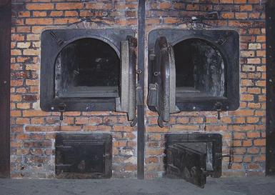 Z czasem, w 1942 roku, obok Oświęcimia powstał obóz w Brzezince Birkenau. Obóz Auschwitz-Birkenau był również największym obozem zagłady (w szczytowym okresie mordowano w nim do 20 tys. osób na dobę).