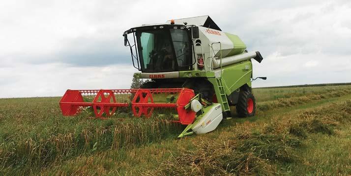 rolnik Oferta Branżowej Szkoły I Stopnia Po ukończeniu Branżowej Szkoły I Stopnia można kontynuować naukę w Branżowej Szkole II Stopnia i uzyskać tytuł Technika rolnika.