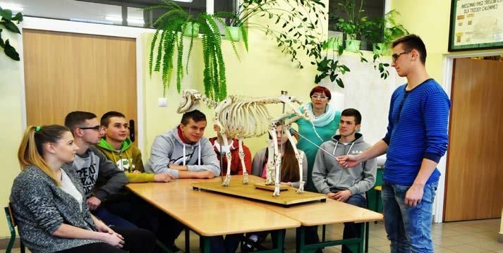 Absolwenci mogą kontynuować edukację na uczelniach wyższych, na wydziałach technicznych uniwersytetów przyrodniczych w różnych ośrodkach akademickich. technik rolnik Oferta Technikum im.